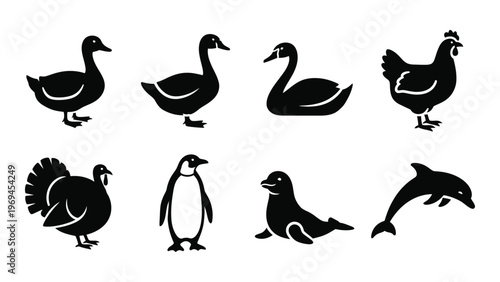 A collection of various waterfowl and birds depicted in a striking black silhouette style high quality professional detailed modern elegant stylish
