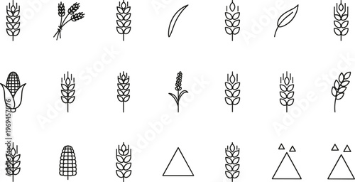 Black silhouette agricultural icons with wheat stalks, corn cobs, leaves, geometric shapes, farming botanical illustration design concept
