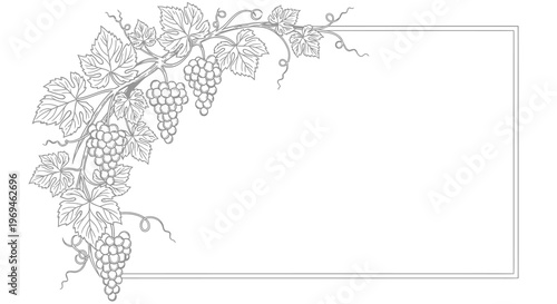 Decorative frame featuring grape vines and bunches of grapes in black and white