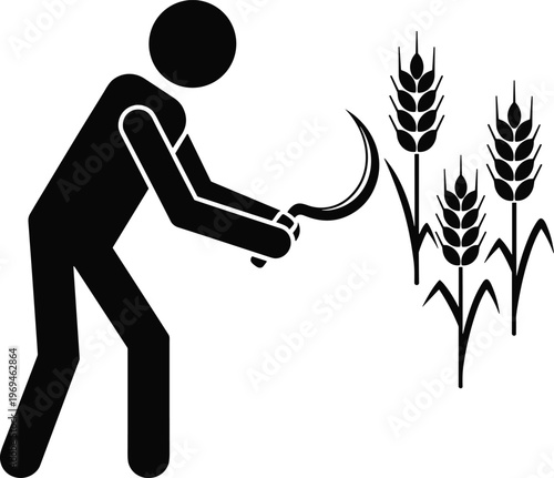 Farmer harvesting wheat with sickle, agriculture work concept, rural farming, crop cutting, organic food production, field labor, agrarian lifestyle