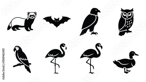 A collection of various bird and animal silhouettes including a ferret bat owl flamingo and duck silhouette high quality professional detailed