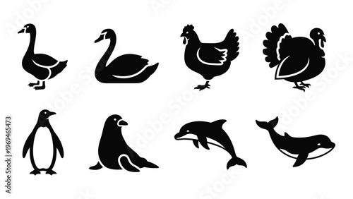 A collection of various bird and marine animal silhouettes displayed in a simple black graphic style silhouette high quality professional detailed