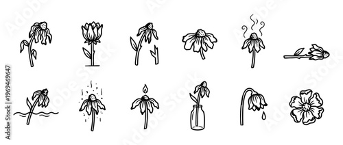 Collection of hand-drawn black and white flower illustrations depicting various stages of life and decay with simple lines