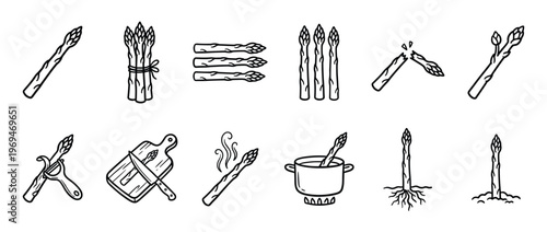 Collection of hand-drawn black and white asparagus icons illustrating various stages from growing to cooking, presented in a clean, graphic style