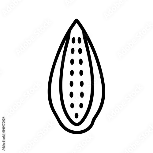 Cocoa pod fruit cross section icon for chocolate production and tropical agriculture design