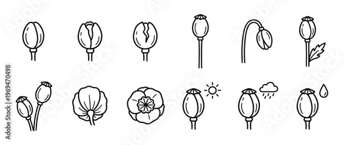 Collection of black outline poppy flower and seed pod icons illustrating various growth stages and weather conditions