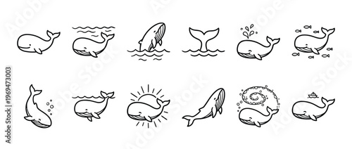 Collection of cute cartoon whale illustrations in various poses and interactions, drawn in a simple black outline style