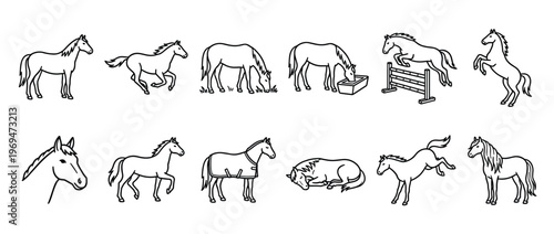 Collection of various outline horse illustrations depicting different actions and poses in a clean, graphic style