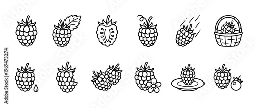 Collection of various black outline raspberry icons depicting whole, sliced, and falling berries, along with a basket and plate