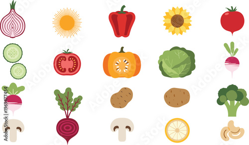 Colorful Vegetable and Fruit Illustration Collection with Various Types
