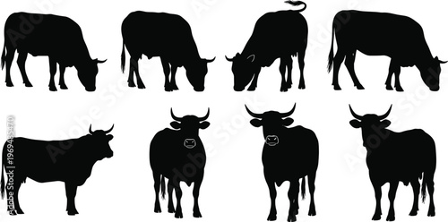 Silhouette Cow Icon Set in Various Poses and Angles for Farming, Agriculture, and Livestock Designs