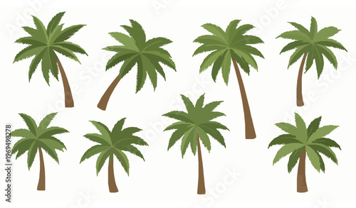 Decorative palm tree clipart collection with lush green fronds in tropical vector style isolated on white