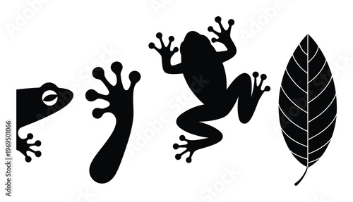 Black silhouette frogs and leaf on white background