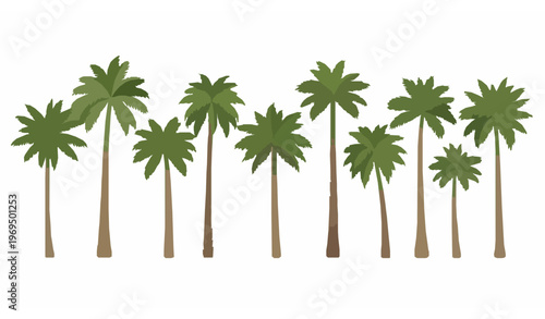 Palm trees clipart set with tall trunks and lush green fronds in flat vector style isolated on white background