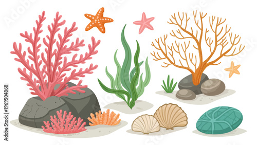 Vibrant coral seaweed rocks and shells clipart set with starfish on white background ocean elements