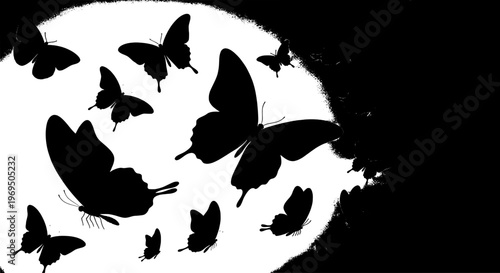 Butterflies black silhouettes flying in a swarm with white background featuring butterfly, insects, wings with illustration and graphic elements for