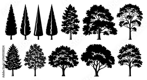 Trees black silhouette set with various leafy and pine shapes on white background featuring tree, forest, nature with landscape and icon elements for