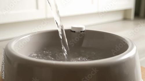 Wallpaper Mural Hand pressing white button on pet food bowl Torontodigital.ca