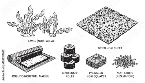 Nori seaweed vector illustration set with laver algae dried sheets maki rolls and strips