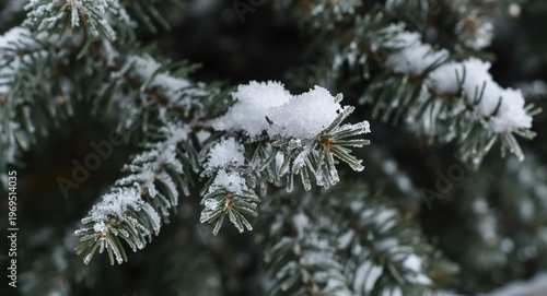 Winter close-up showing pin...