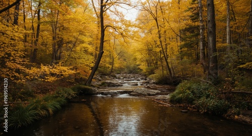 Vibrant fall landscape with...