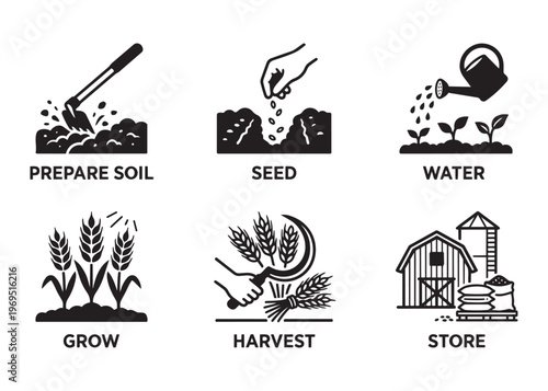 Farming process illustration vector farm cycle steps from seed to store