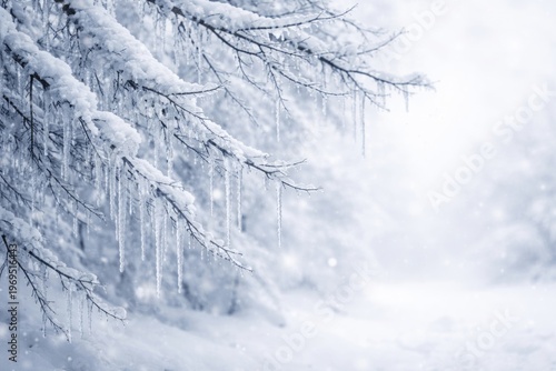 Snowy Tree Branches with Ic...