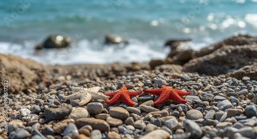 Three lively starfish perch...