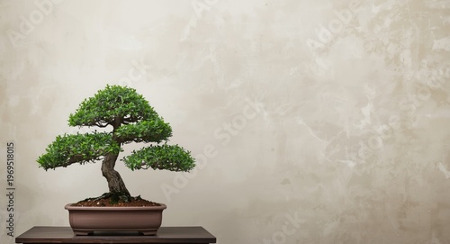 understated background with...