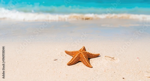 Summer vacation starfish re...