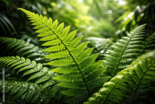 Close up of a vibrant fern ...