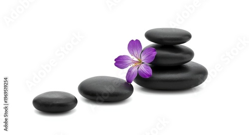 Spa stones in black isolate...