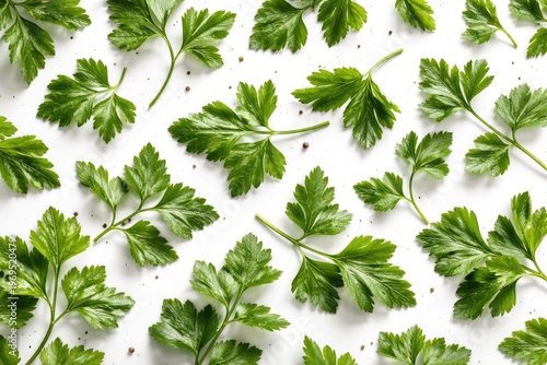 Fresh parsley leaves scattered on a white background for vibrant culinary backdrop