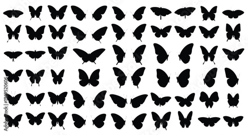 Collection of various butterfly silhouettes in different poses and angles.