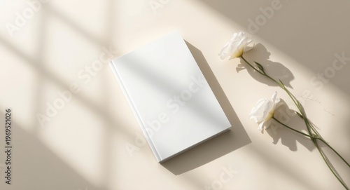 Sunlit soft beige surface w...