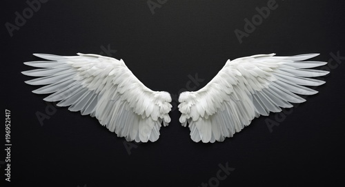 White bird wings isolated o...