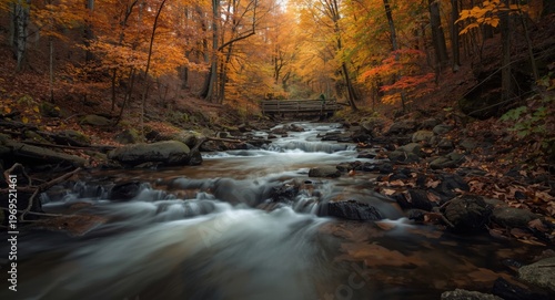 Forest river in autumn with...