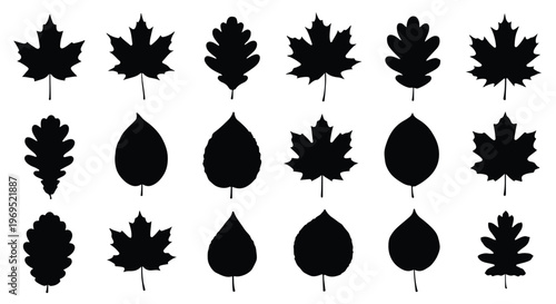 Collection of various black leaf silhouettes on a white background.