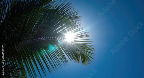 Sunshine filtering through ...