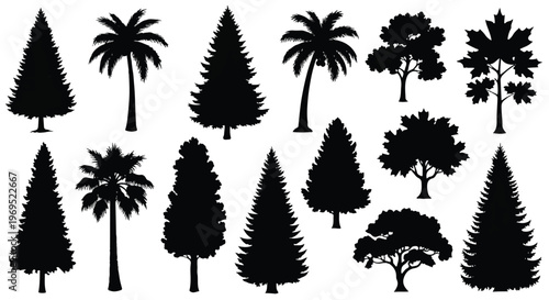 Diverse collection of tree silhouettes showcasing various species and shapes.