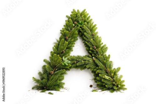 Green Fir and Spruce Leaves...