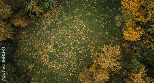 Top down view of a grassy c...