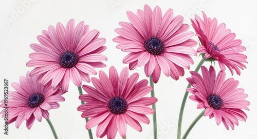 White backdrop oil painting...