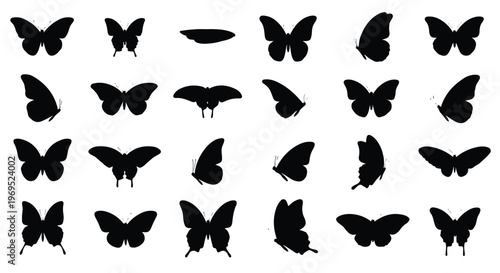 Butterfly Silhouettes Collection Diverse Poses and Angles.