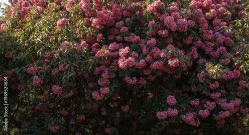 Trees flourishing with brig...