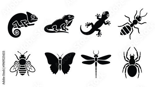 A collection of black insect and reptile silhouettes including a chameleon lizard ant and dragonfly silhouette high quality professional detailed modern