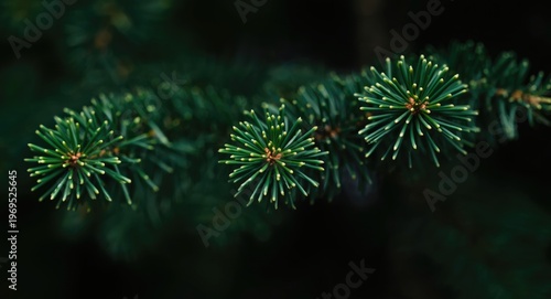 Intimate close up capturing...