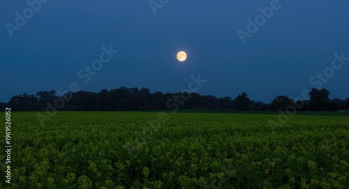 Tranquil moonlit scene with...