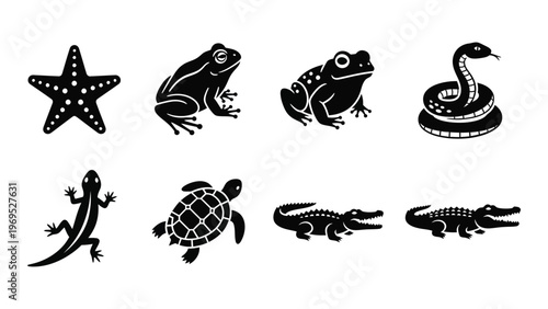 A collection of black silhouettes depicting various aquatic and terrestrial reptiles and amphibians including a starfish silhouette high quality professional detailed