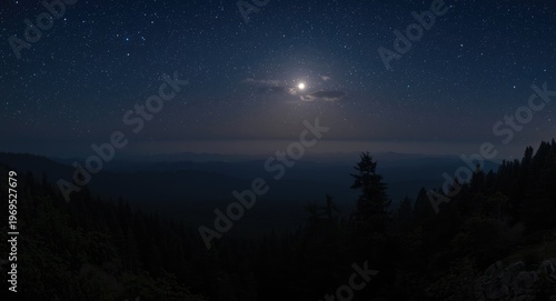 Soothing night forest panor...